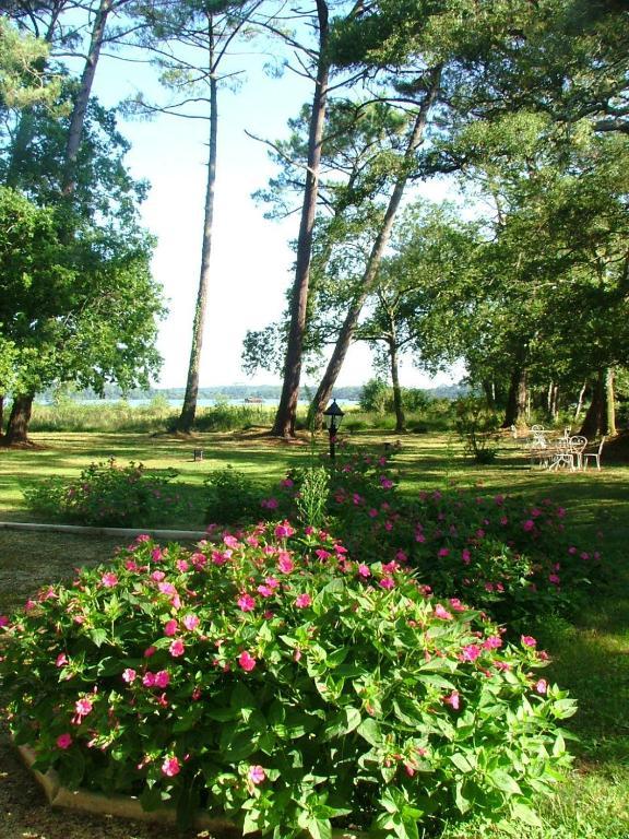 Villa De L'Etang Blanc Seignosse Bagian luar foto