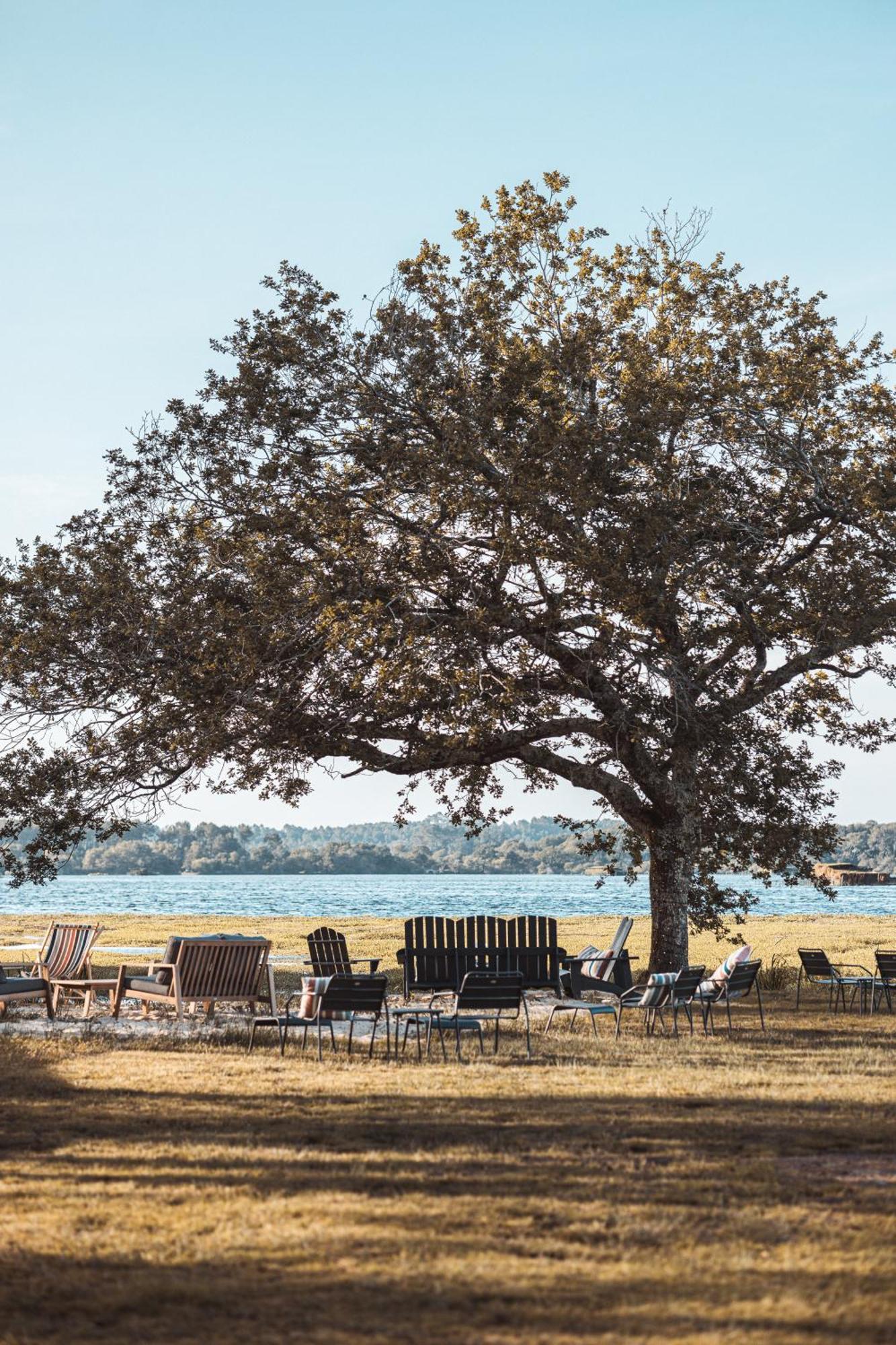 Villa De L'Etang Blanc Seignosse Bagian luar foto