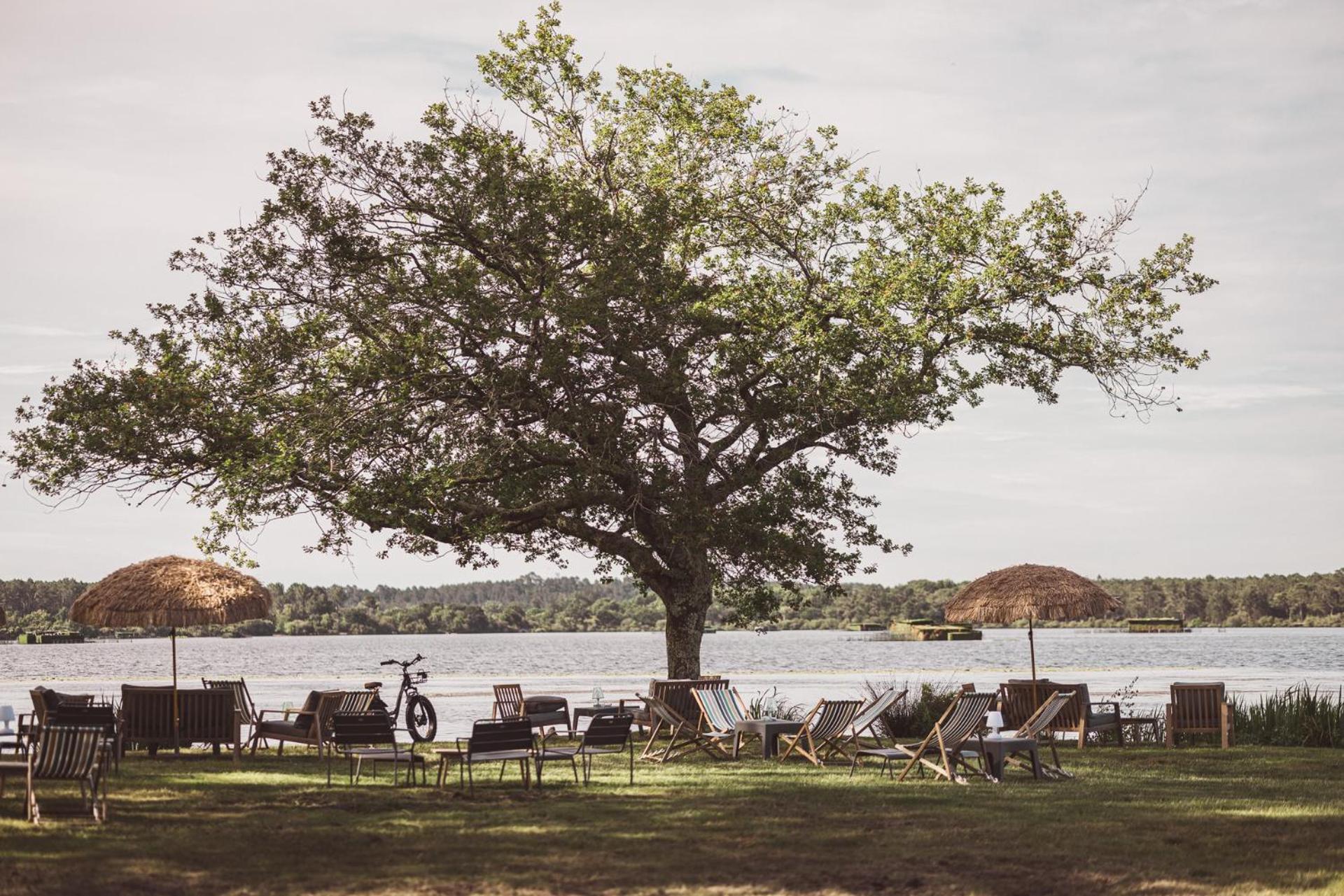 Villa De L'Etang Blanc Seignosse Bagian luar foto