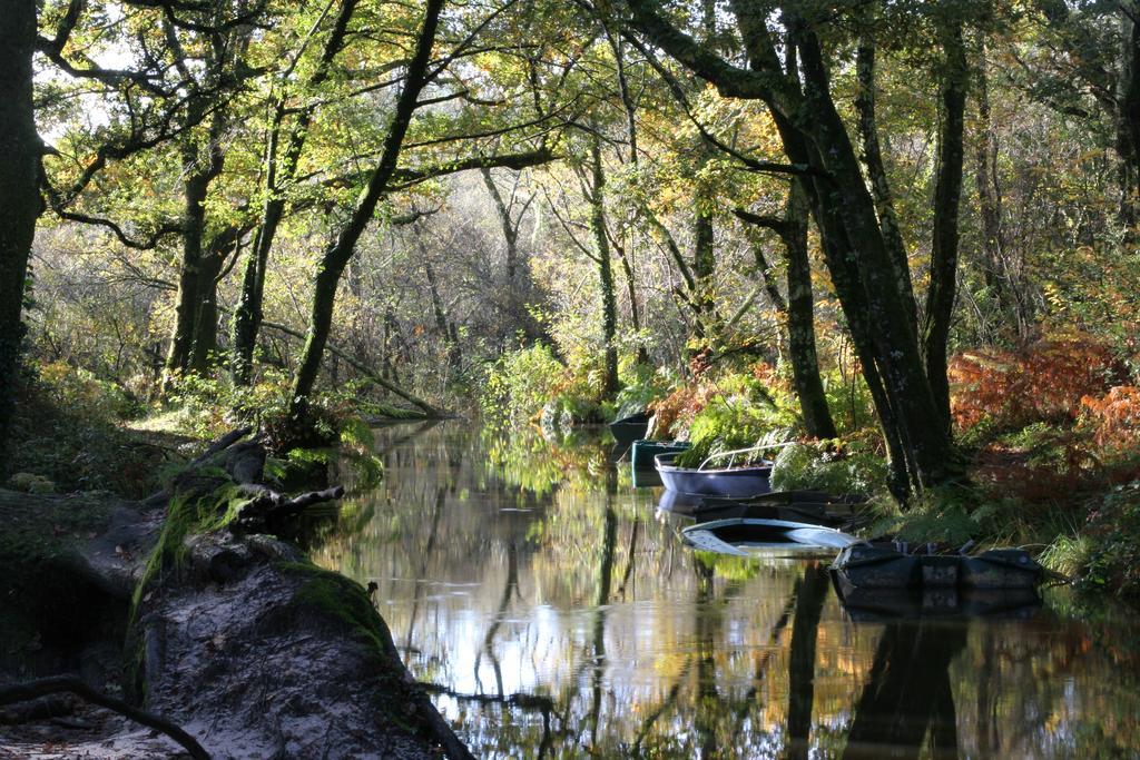 Villa De L'Etang Blanc Seignosse Bagian luar foto