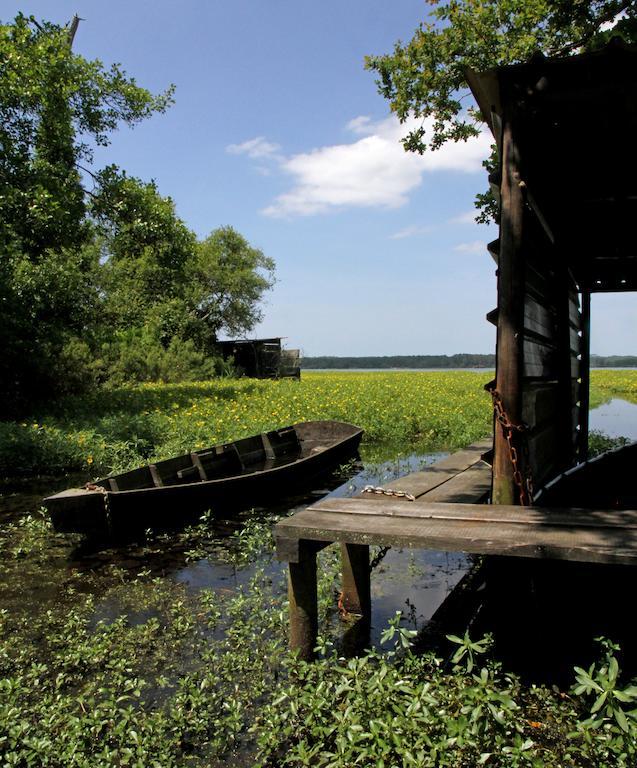 Villa De L'Etang Blanc Seignosse Bagian luar foto